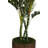 Panama Artificial Palm Tree in Planter-1882545169
