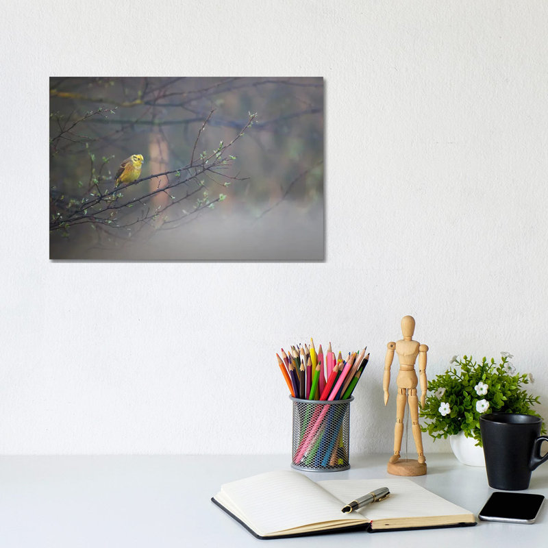 Yellowhammer Ii 1 Piece Wrapped Canvas Wall Art, 20.32cm H x 30.48cm W x 1.9cm D