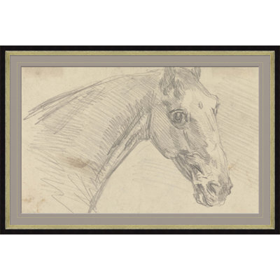 Sawrey Gilpin " Study Of A Horse " by Sawrey Gilpin