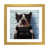 Gold Framed Fine Art Paper