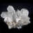Aleston Crystal