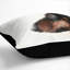 Dachshund Dog Square Throw Cushion-56286917-56286916