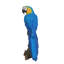 Statue de perroquet sur branche-1624689208