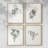 Vintage Floral Print CCI  Framed Print - Set of 4-870093-870095
