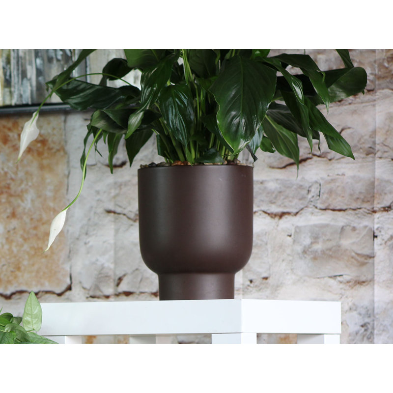 Cache-pot Monstera en céramique émaillée, petit modèle - Kemper en plein air, Brun mat