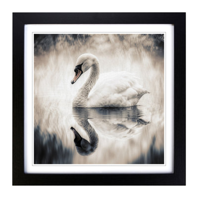 Swan Double Exposure No.1 - Framed Print