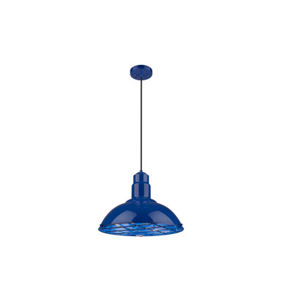 Luminaire suspendu à cordon 1 lumière 16 po Langston