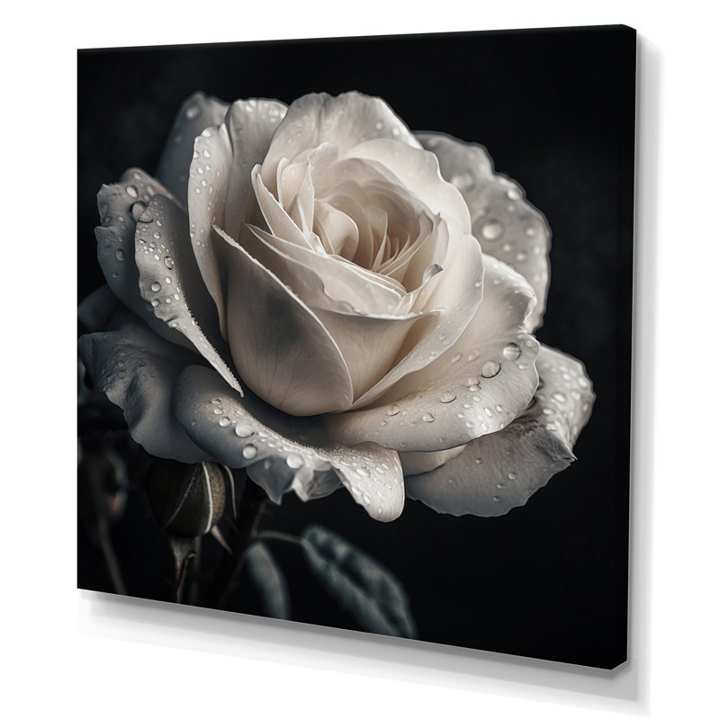 Exquises gouttelettes de rosée blanche, H 30 po x l 30 po x P 1 po, Toile tendue