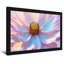 Plantes et fleurs, pétales de fleurs pastel, couleurs douces, centre-71704370-71704381-71704382