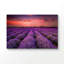 «Lavender Sunset», impression sur verre