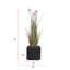 Plante en faux roseau 54 po-640343519