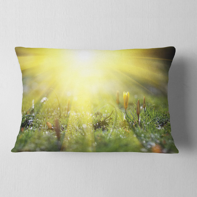 Coussin Bright, Rectangulaire, 12 po x 20 po