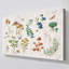 "Woodland Treasures" par Nan, reproduction sur toile-1831090661