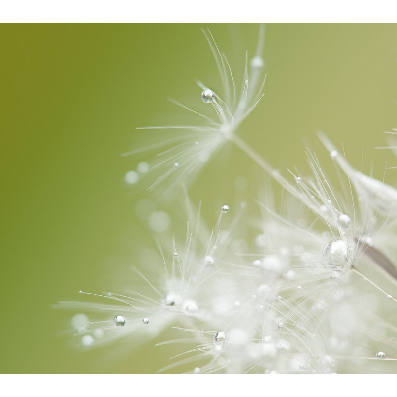 Wrapped Canvas Print, 50.8 cm H x 76.2 cm W