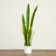 30 po Plante artificielle Sansevieria