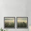 Monaco Monaco Sunlight Through Trees - 2 Piece Single Picture Frame Print-1582497805