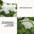 Outdoor Cushion-1155012504