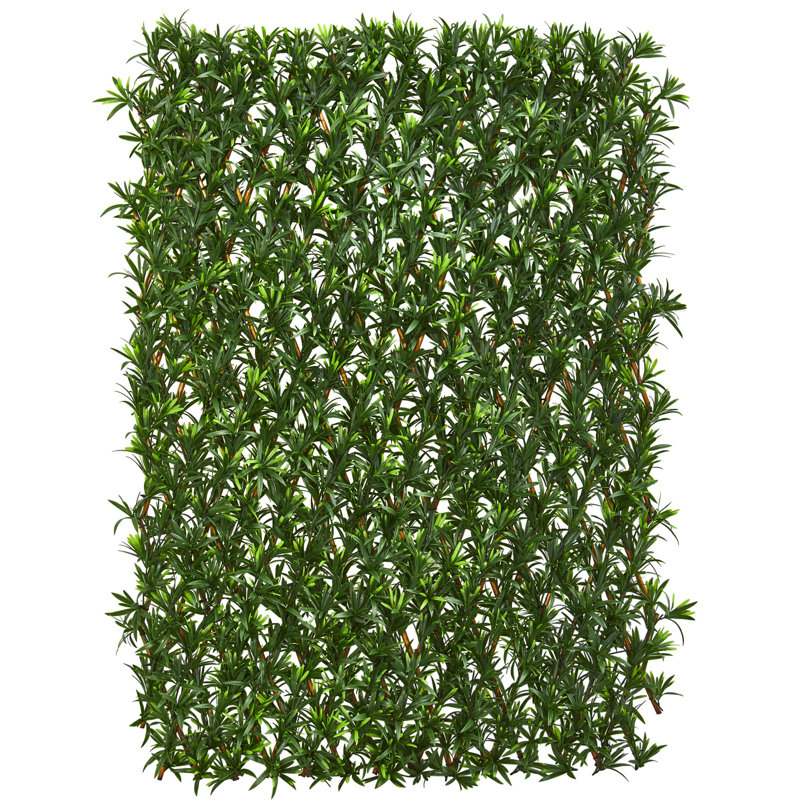 Clôture extensible Podocarpus résistante aux rayons UV et imperméable