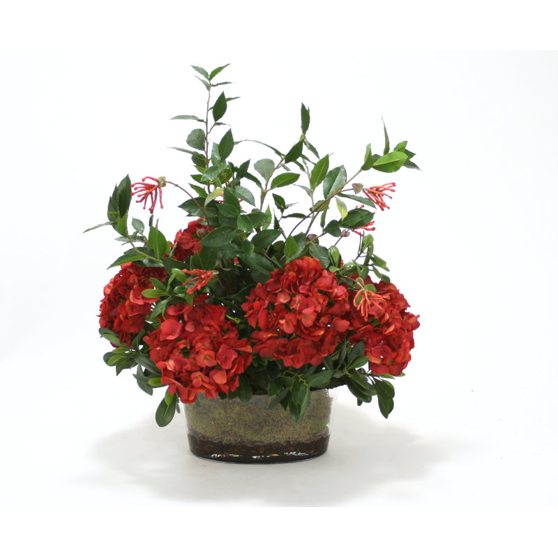 Hydrangea Arrangement in Vase