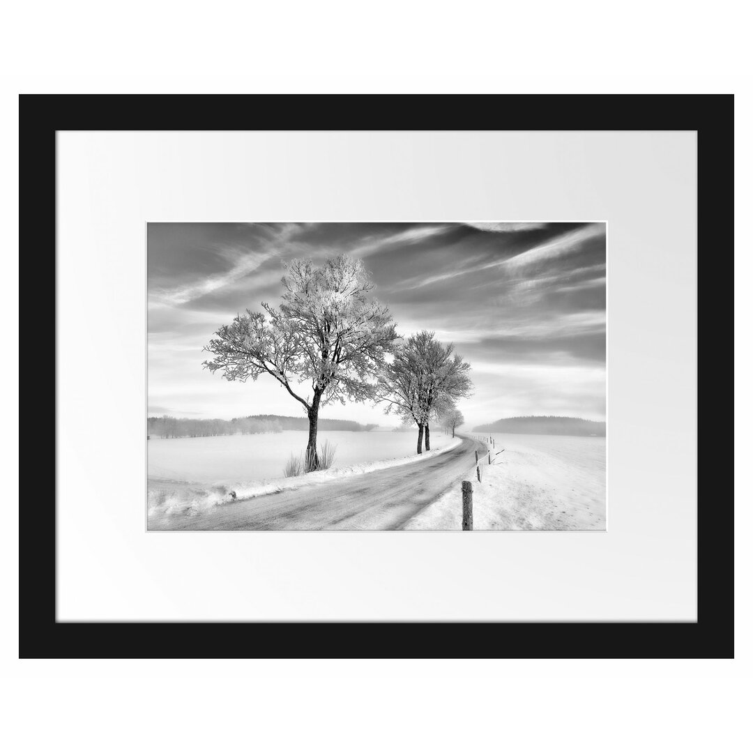 Gerahmtes Poster Baum im Schnee