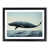 Black Framed selected