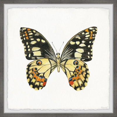Scaly Wings - Single Picture Frame Painting