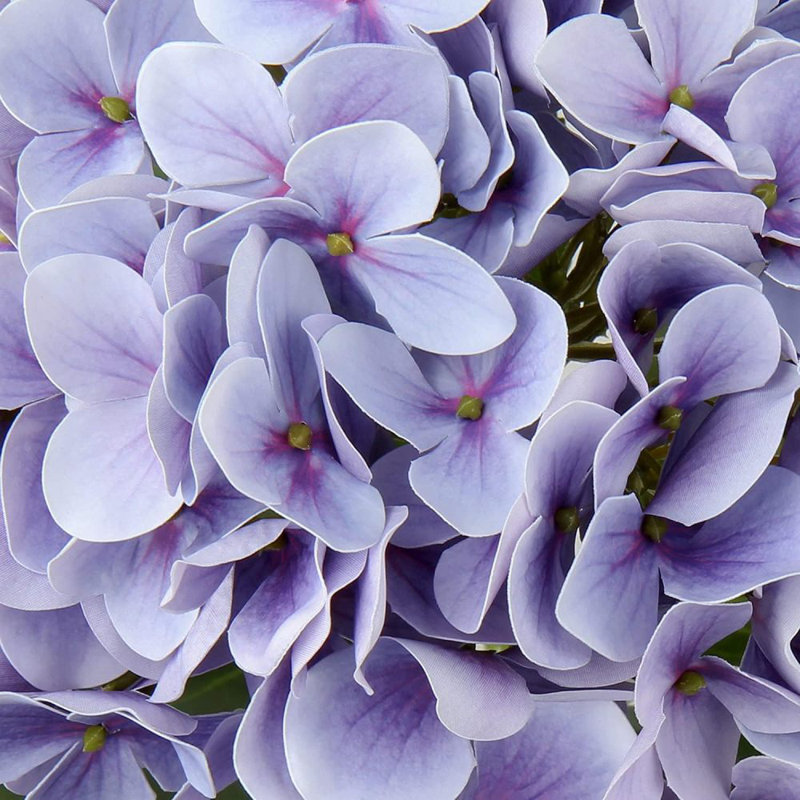 Arrangement d'hortensias, Mauve