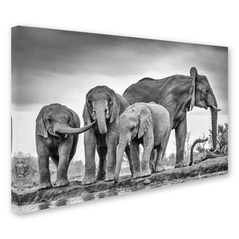 Art mural sur toile tendue - «A Giant Unity» de Jaco Marx pour décoration de salon, de chambre à coucher ou de bureau - 12 x 19