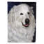Drapeau de maison Hvidovre Sheltie Halloween en polyester à 2 faces 3 x 2 pi-81031186