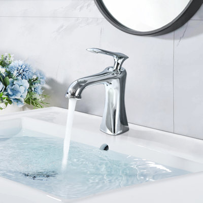 Single-handle Bathroom Faucet with Drain Assembly