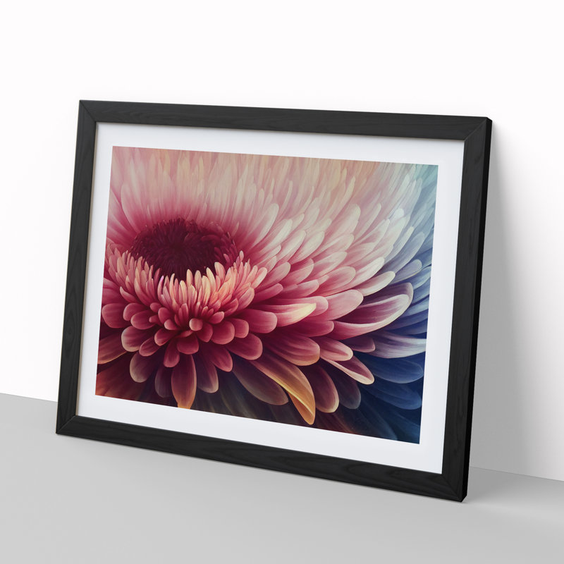 Chrysanthemum Flower Vol.3 - Framed Print, 25cm H x 34cm W x 2cm D, Black Framed