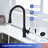 Rainlex Pull Down Kitchen Faucet-100933675