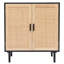 Armoire d'appoint en rotin à 2 portes H 34,6 po avec tablette réglable Azhar