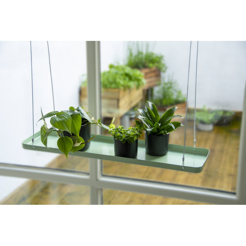 Plant Tray Hanging Rect, Green, 2.1cm H x 58cm W x 15cm D