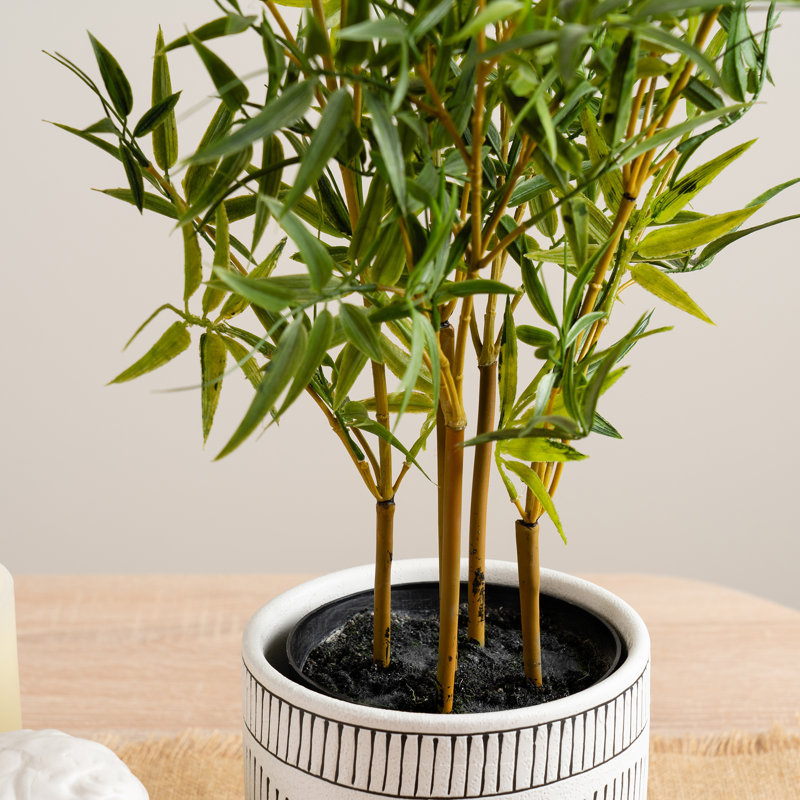 75cm Faux Mini-leaf Bamboo Tree