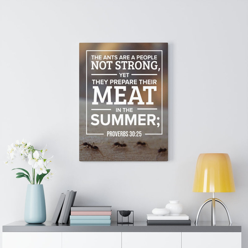 Meat In The Summer Proverbs 30:25 - Wrapped Canvas Print, 41cm H x 30cm W