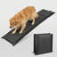 Rampe pliante pour chien 66 pouces pour voitures VUS et camions Capacité de charge de 150 lb pour chiens avec surface antidérapante