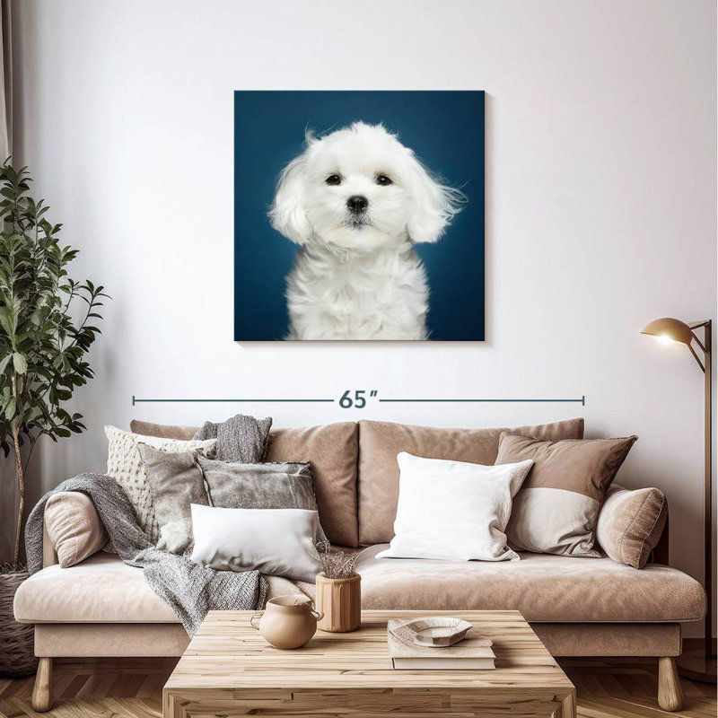 Crowle White Maltese Dog, 36" H x 36" W