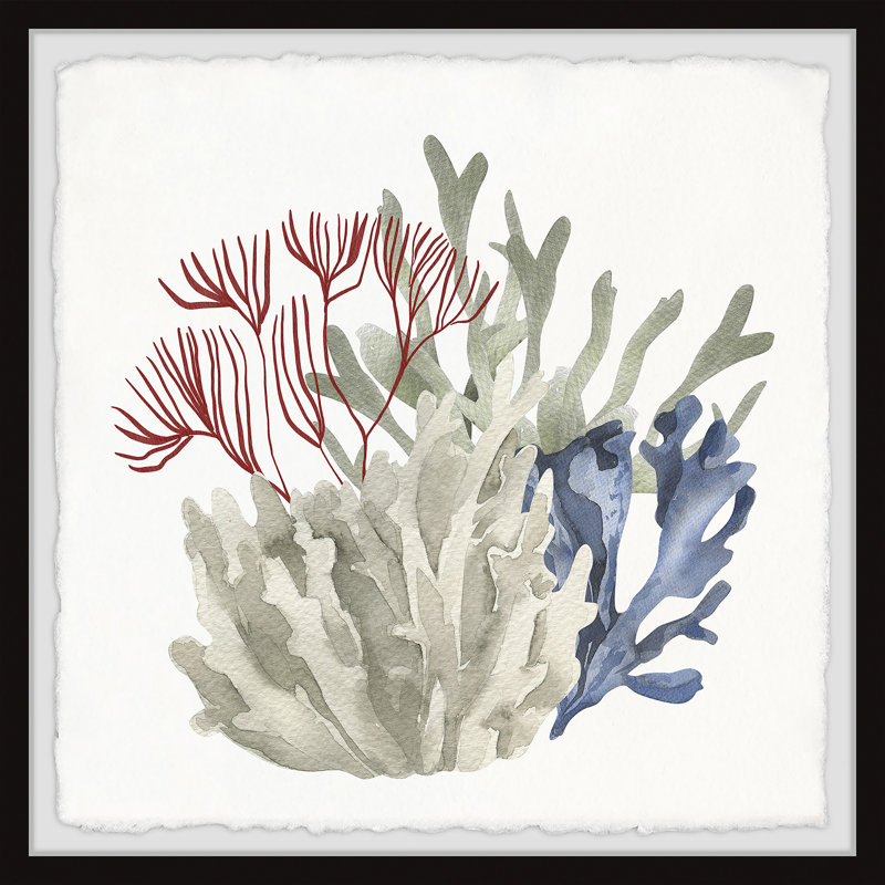 Gravette Seaweed And Corals A by Marmont Hill - Single Picture Frame Painting