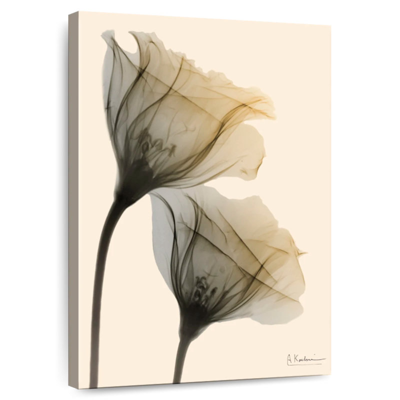 Harnek Neutral Lovers, H 24 po x l 16 po