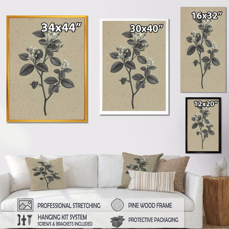 «Grey Minimalisme Vintage Solitude Plant», reproduction d'art sur toile encadrée, art mural botanique gris, H 40 po x l 30 po