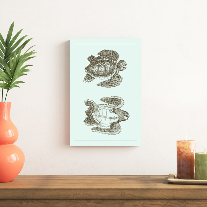 Tortue caouanne I, H 18 po x l 12 po x P 1,25 po