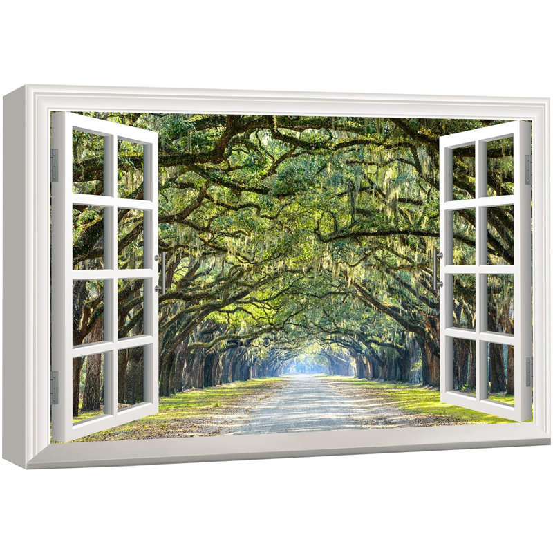Window Scenery " Modern White Window Looking Out Into A Road With A Tunel Of Trees ", 24" H x 36" W