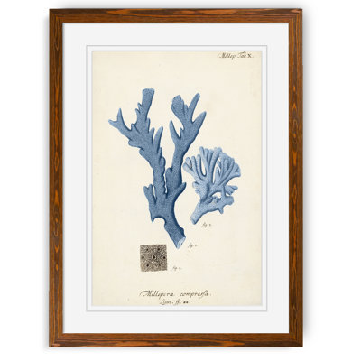 "corail antique en bleu marine i" par paul cezanne-cadre photo, reproduction d’art