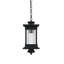 Luminaire suspendu d'extérieur noir 7,5 po Framhild