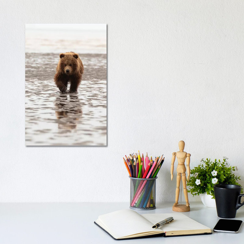 Grizzly Bear Walking Through Mud, Alaska, USA by George Theodore - Wrapped Canvas Print, 20.32 cm H x 30.48 cm W
