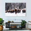 Bison Herd in Winter - reproduction d'art sur toile tendue-1431847939