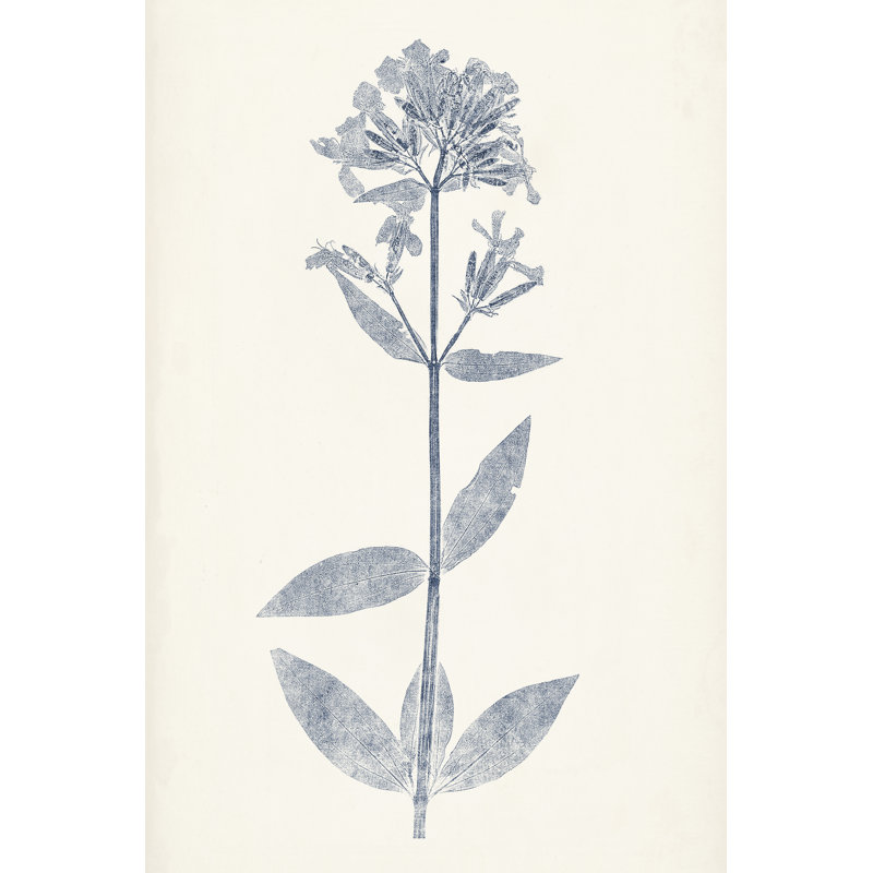 Navy Botanicals V by Vision Studio - Painting, 46 cm H x 30 cm W, Black Floater Framed