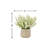 Ferdinand Heather Arrangement in Pot-28784520