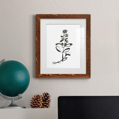 Inky Botanical III - peinture encadrée